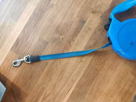 Photo of free Flexi dog lead (North Crawley MK16) #3