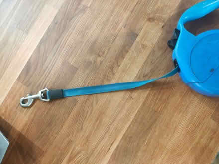 Photo of free Flexi dog lead (North Crawley MK16) #3