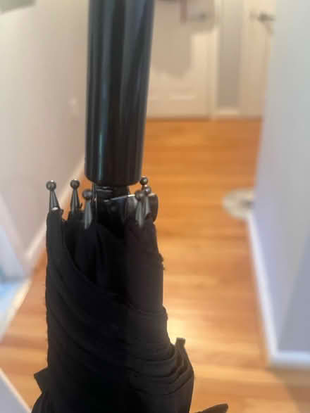 Photo of free Large daschund umbrella (Columbia Heights) #3