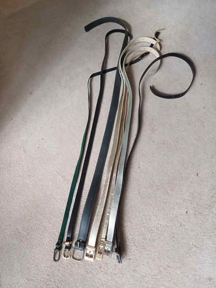 Photo of free Ladies belts (Winkwell HP1) #2