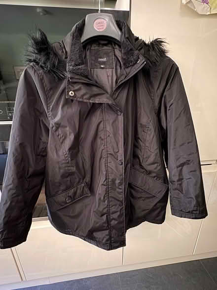 Photo of free Ladies clothes (Glenrothes KY7) #1