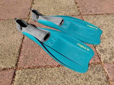Photo of free Flippers (Fleet GU52) #2