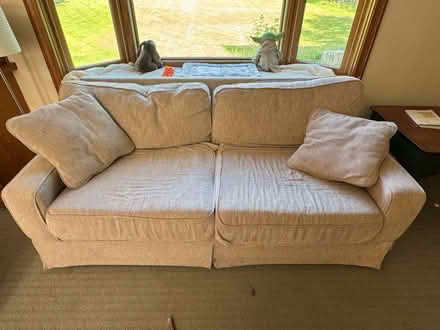 Photo of free Sofa bed (Marion, near 195.) #1