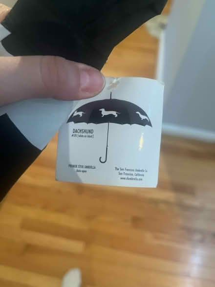 Photo of free Large daschund umbrella (Columbia Heights) #2