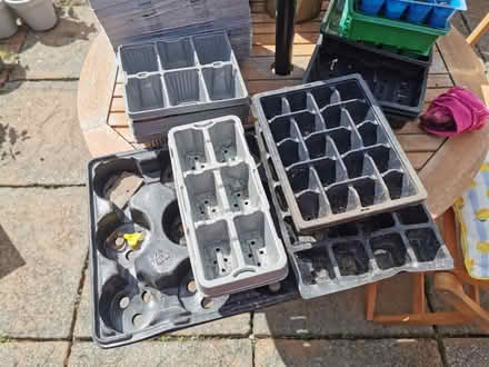 Photo of free Empty seed trays (LE9 (Earl Shilton)) #2