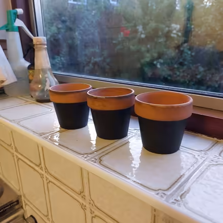 Photo of free 3 small ceramic plant pots (Fords Farm RG31) #1