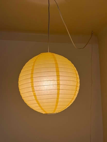 Photo of free Paper lantern - 15” - with bulb (Flatbush/PLG) #1