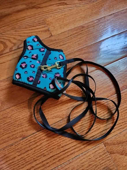 Photo of free Kitten harness (Capitol Hill, DC) #1