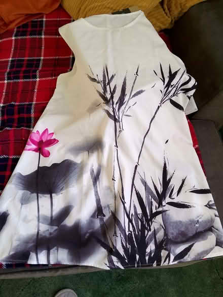 Photo of free Summer dress (Minchery Farm OX4) #1