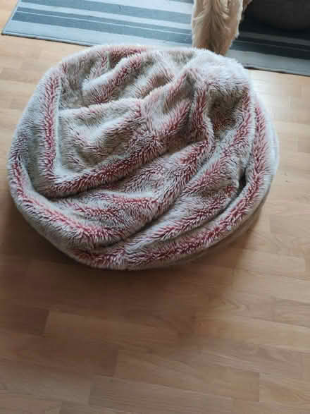 Photo of free Pink bean bag (RG2) #2