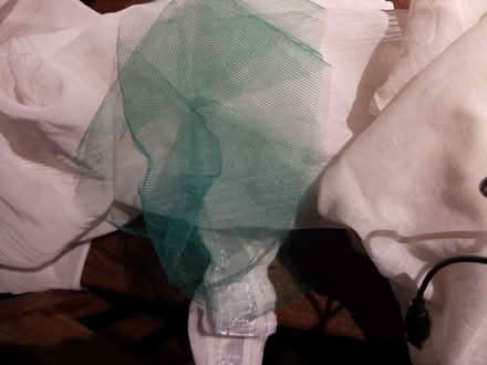Photo of Net curtains / netting or fruit bush covers (Kenilworth CV8) #1