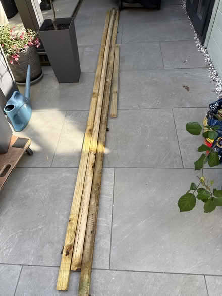 Photo of free Wood (Horsham) #1