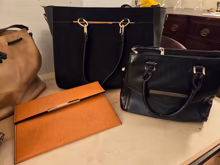 Photo of free 5 Purses/ sachels (North Toronto) #1