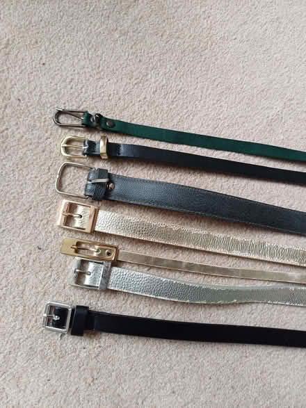 Photo of free Ladies belts (Winkwell HP1) #1