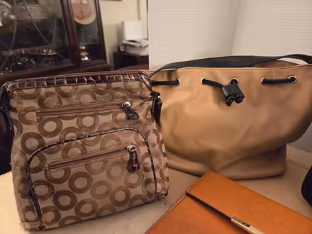 Photo of free 5 Purses/ sachels (North Toronto) #2