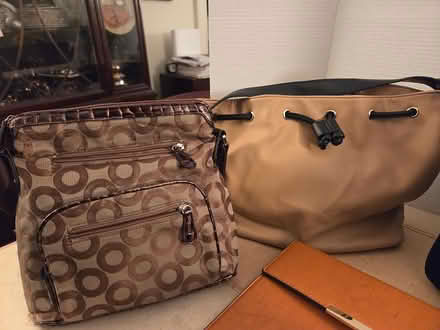 Photo of free 5 Purses/ sachels (North Toronto) #2