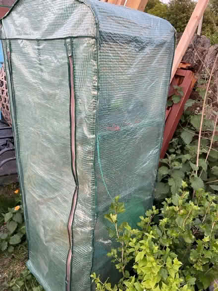 Photo of free Green house and compost bin (BB2) #3