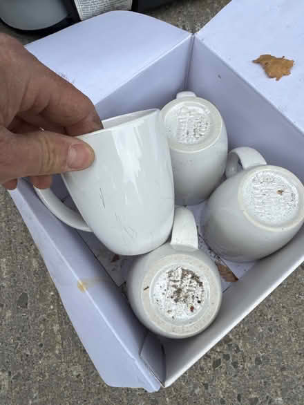 Photo of free Mugs (Civic Hospital) #1