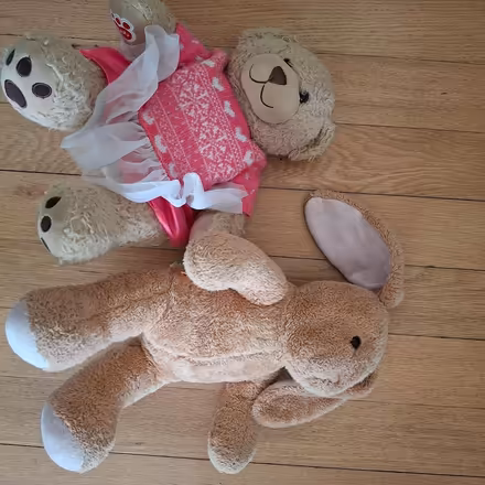 Photo of free 2 build a bears (Hallam Fields, Ilkeston) #1