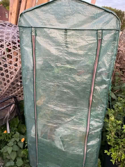 Photo of free Green house and compost bin (BB2) #1