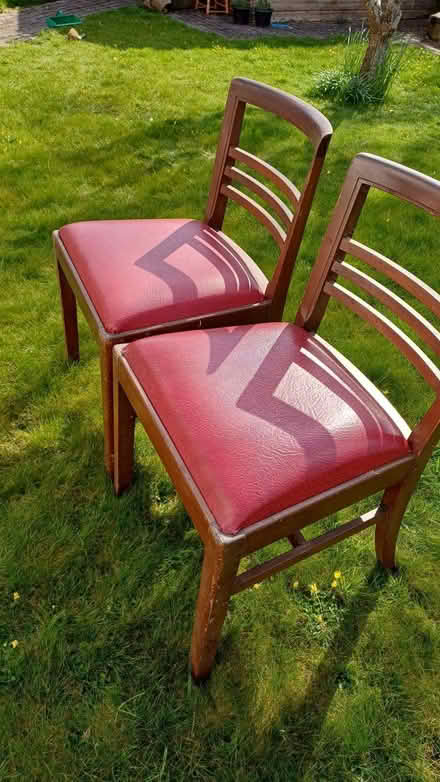 Photo of free Two chairs (Liverton Coldeast TQ12) #1
