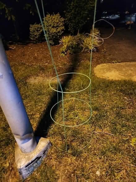 Photo of free Tall Tomatoe Cage (Bowie) #1