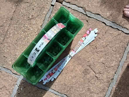 Photo of free Green Bedding Plant Trays (Stonebridge BA11) #1