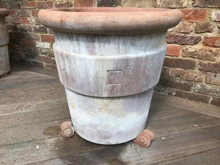 Photo of free Terracotta pots (Richmond TW9) #1