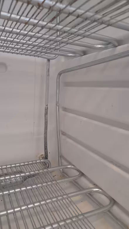 Photo of free Freezer (Newington EH9) #2