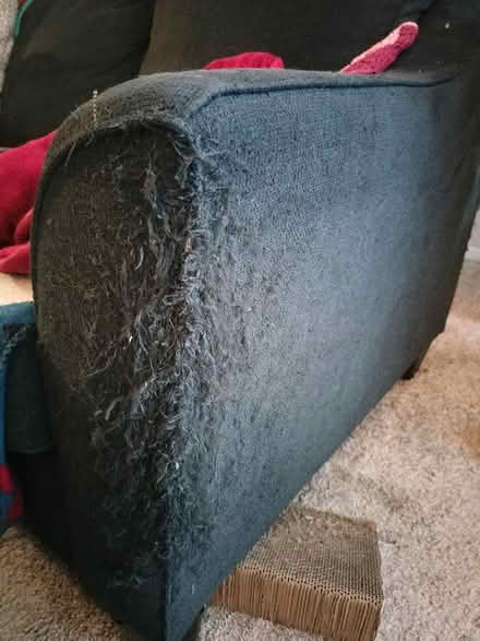 Photo of free Sectional couch (Clark Rd opp. Trinity Health) #2