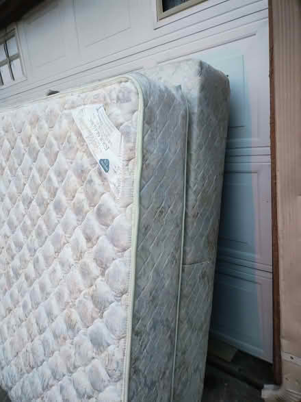 Photo of free mattress, box spring top foam (78244) #1