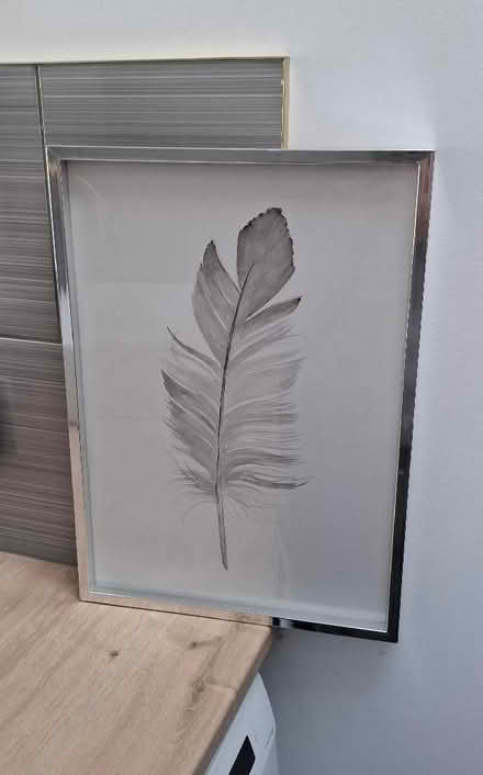 Photo of free Silver framed feather print (Boughton Monchelsea ME17) #1