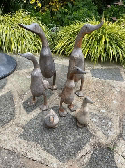 Photo of free Family Of 6 Wooden Garden Ducks (CT9) #1