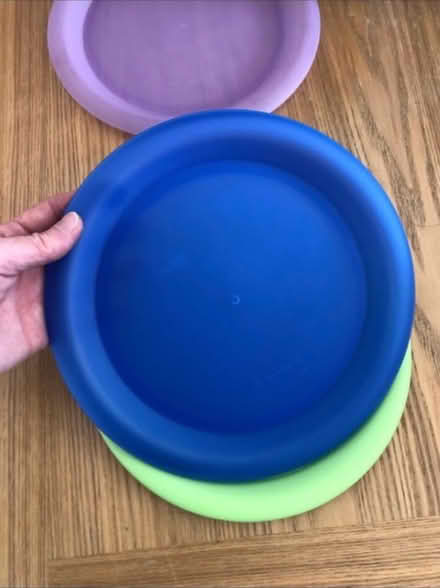 Photo of free Plastic dinner size plates x 5 (Cheshunt En8) #2