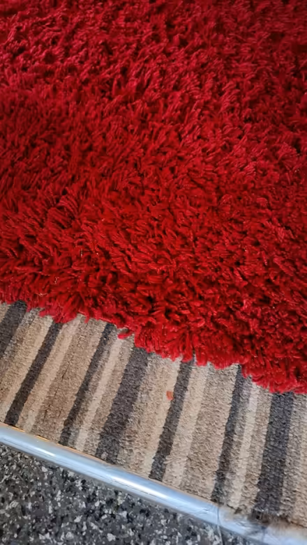 Photo of free Soft shaggy rug (Liss GU33) #2
