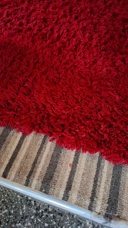 Photo of free Soft shaggy rug (Liss GU33) #2