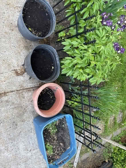 Photo of free Spare garden soil (Civic Hospital) #1
