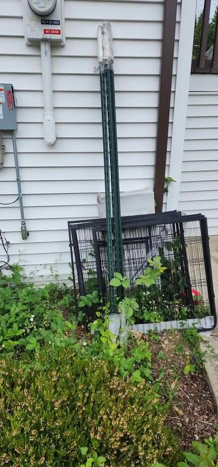 Photo of free Fence Ground Posts (East Renton Highlands) #1