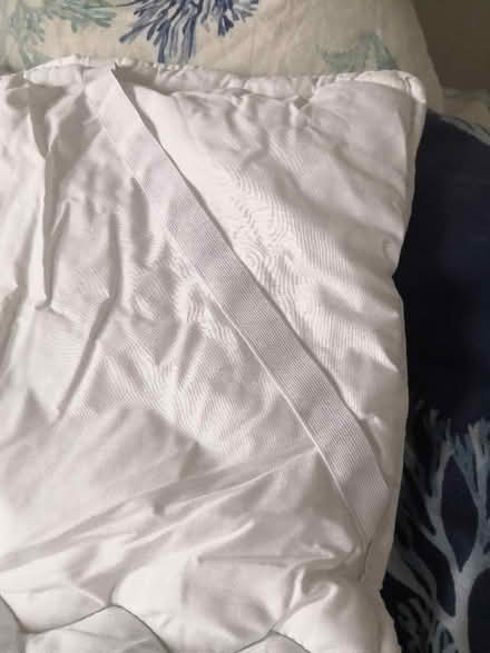 Photo of free Mattress topper for foldaway bed (South Reading RG2) #3