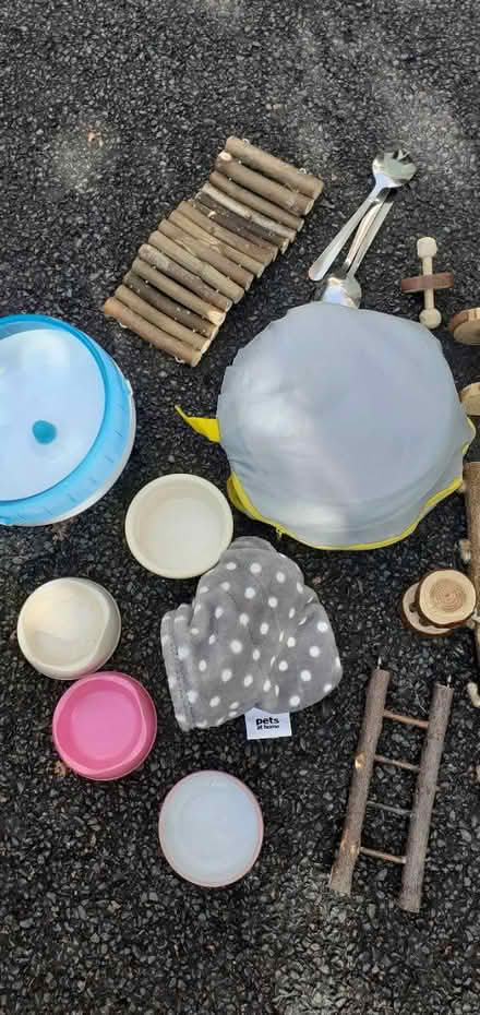 Photo of free Hamster Wheel, pen and toys (WA5) #2