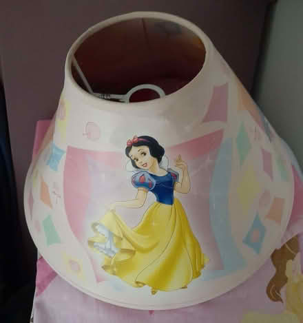 Photo of free Princess lampshade (Havant PO9) #1
