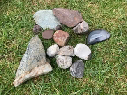 Photo of free Fossils/Rocks (Letchworth wilbury) #1