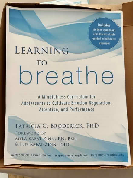 Photo of free Mediation curriculum (Brooklyn) #1