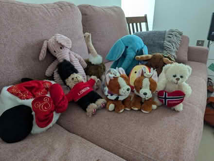 Photo of free Random stuffed animals (Petersfield Ward CB1) #3