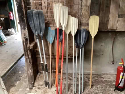 Photo of free Oars (Long Marton CA16) #2