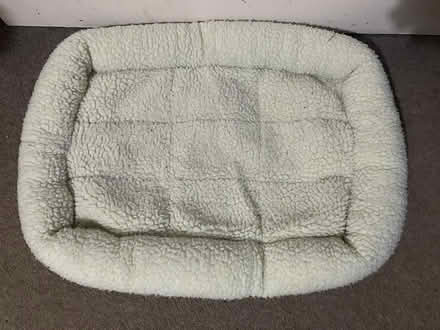 Photo of free Cat bed (Whitecross OX13) #1