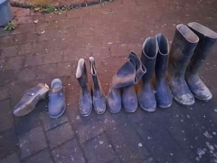 Photo of free Wellington boots (Bernards Heath AL1) #1