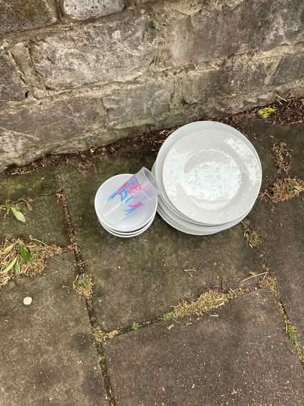 Photo of free Plates, bowls, plastic cups (BS8) #2