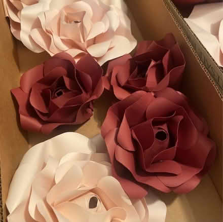 Photo of free Paper Flower set (Neelsville) #1