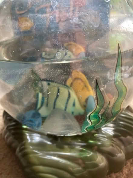 Photo of free Fantasy Fish (not real) (Letchworth wilbury) #2